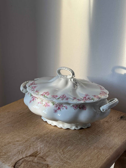 Engelsk terrin med lyserøde blomster