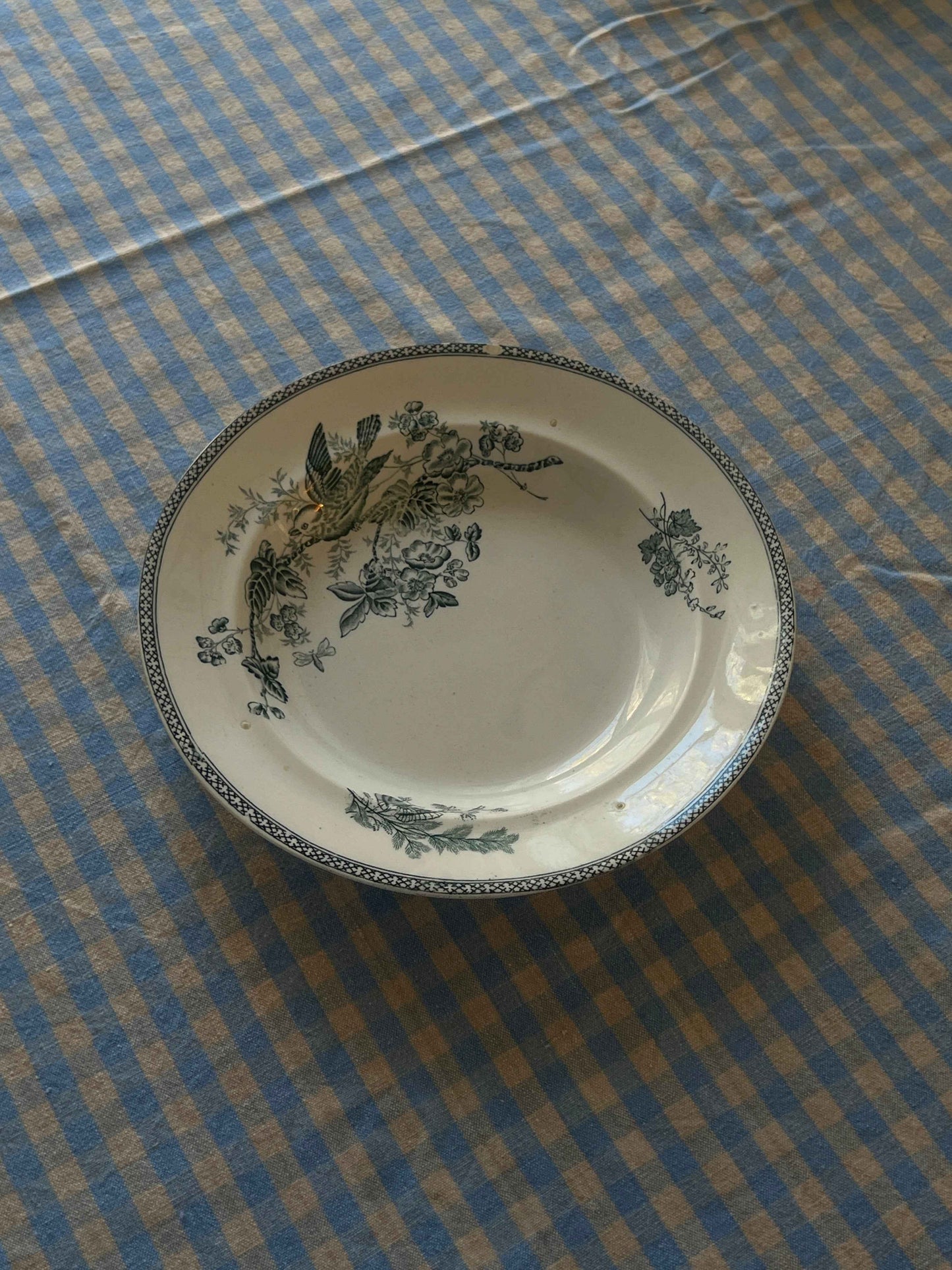 Gustavsberg “Wexio” dyb pastatallerken Ø23 cm (1 stk)