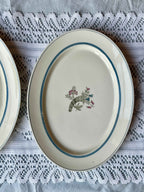 Royal Copenhagen fad