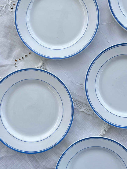 Frokosttallerkener med koboltblå kant (5stk)