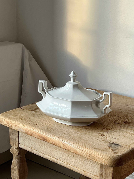 Engelsk terrin med prikmønster