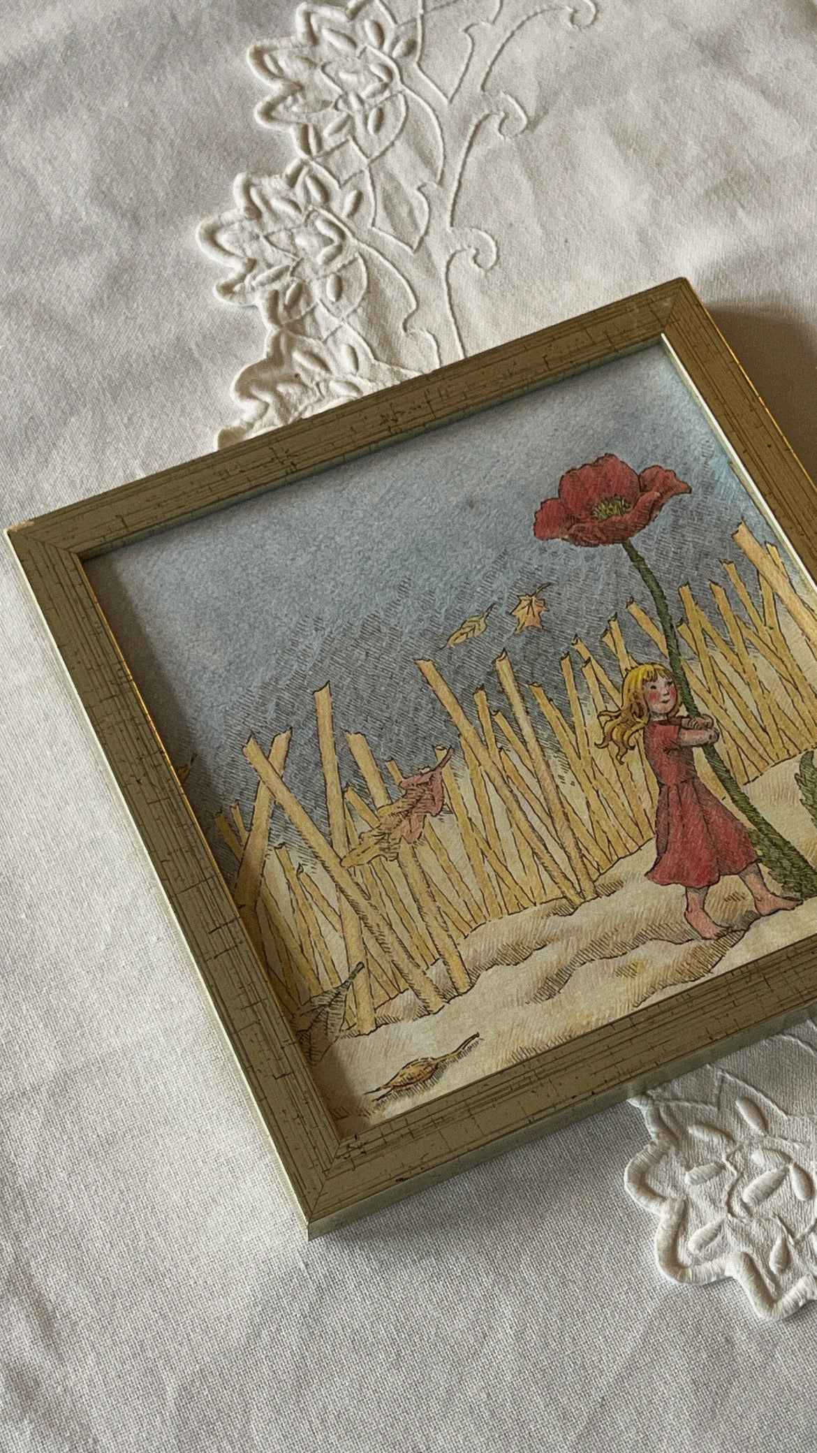 Tommelise illustration i træramme - valmue