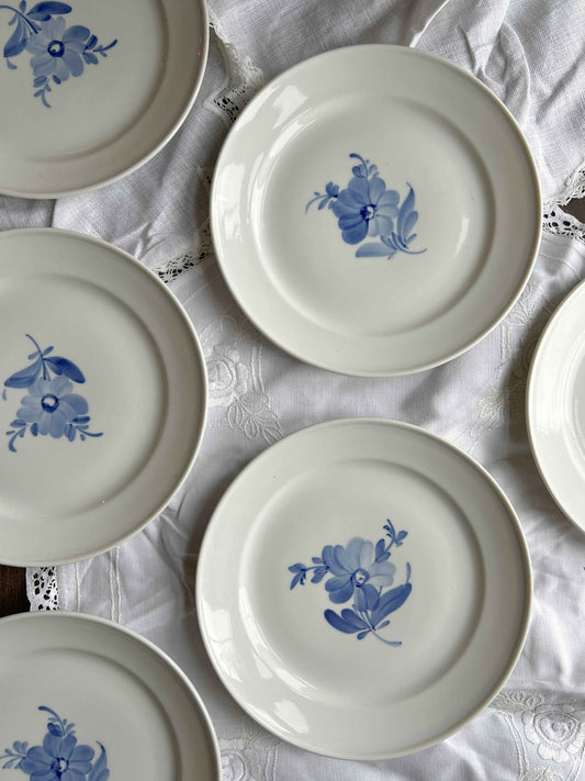 Frokosttallerken Ø19,5 – porcelæn med blå blomst (6 stk)